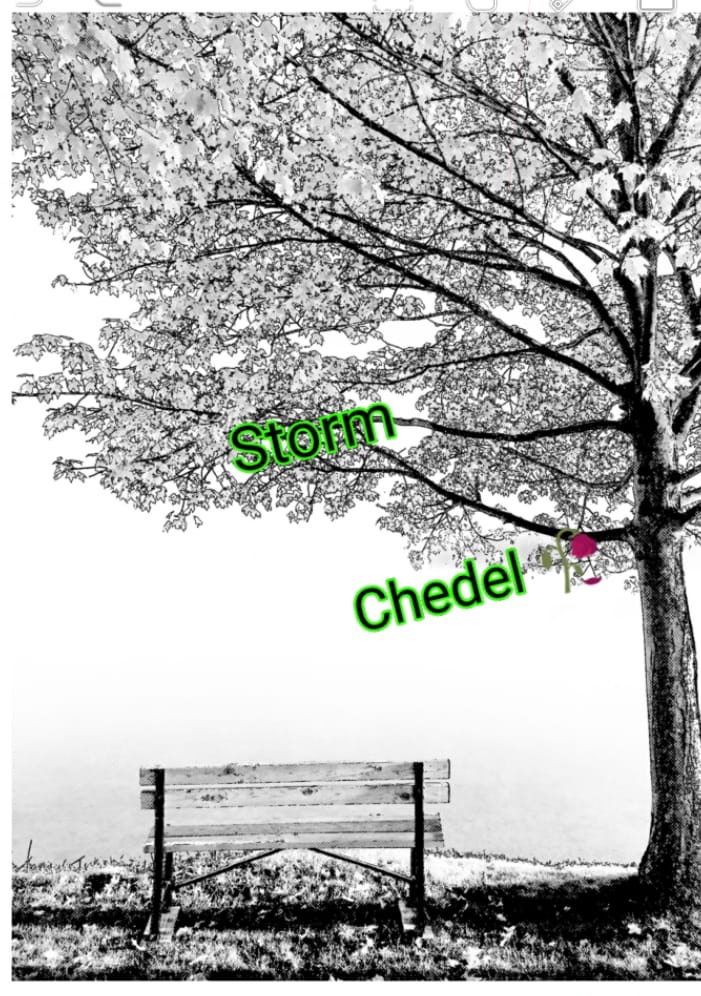 Storm Shedel